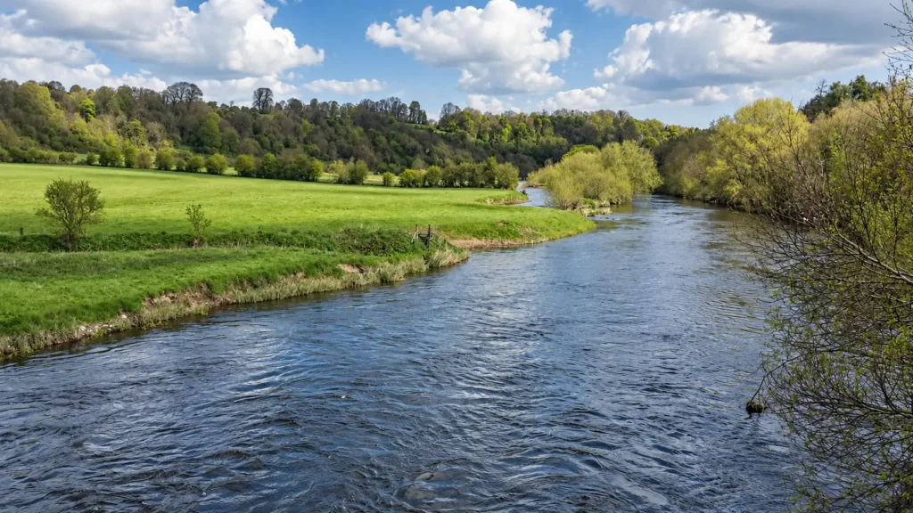 Fiume Foto